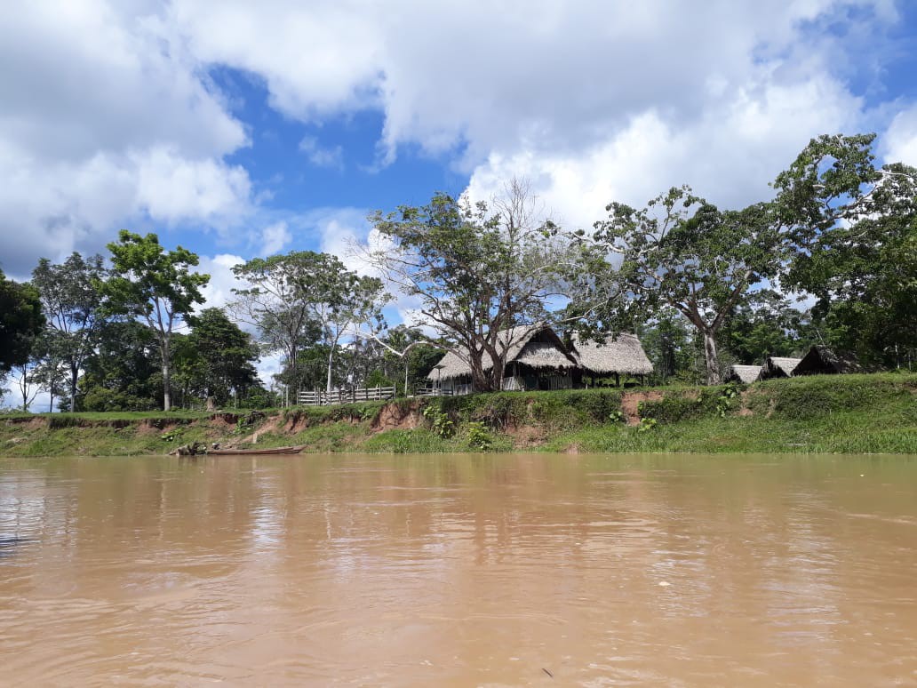 Endinsar-se a la selva Amazònica
