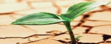 Claus per viure l’Advent II (Vedruna Àfrica): Dones d’esperança