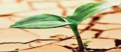 Keys to living Advent II (Vedruna Afrique): Women of Hope