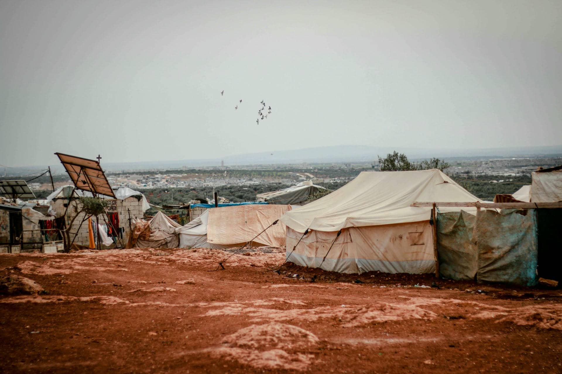 Carisma Vedruna al servei dels refugiats: un compromís global