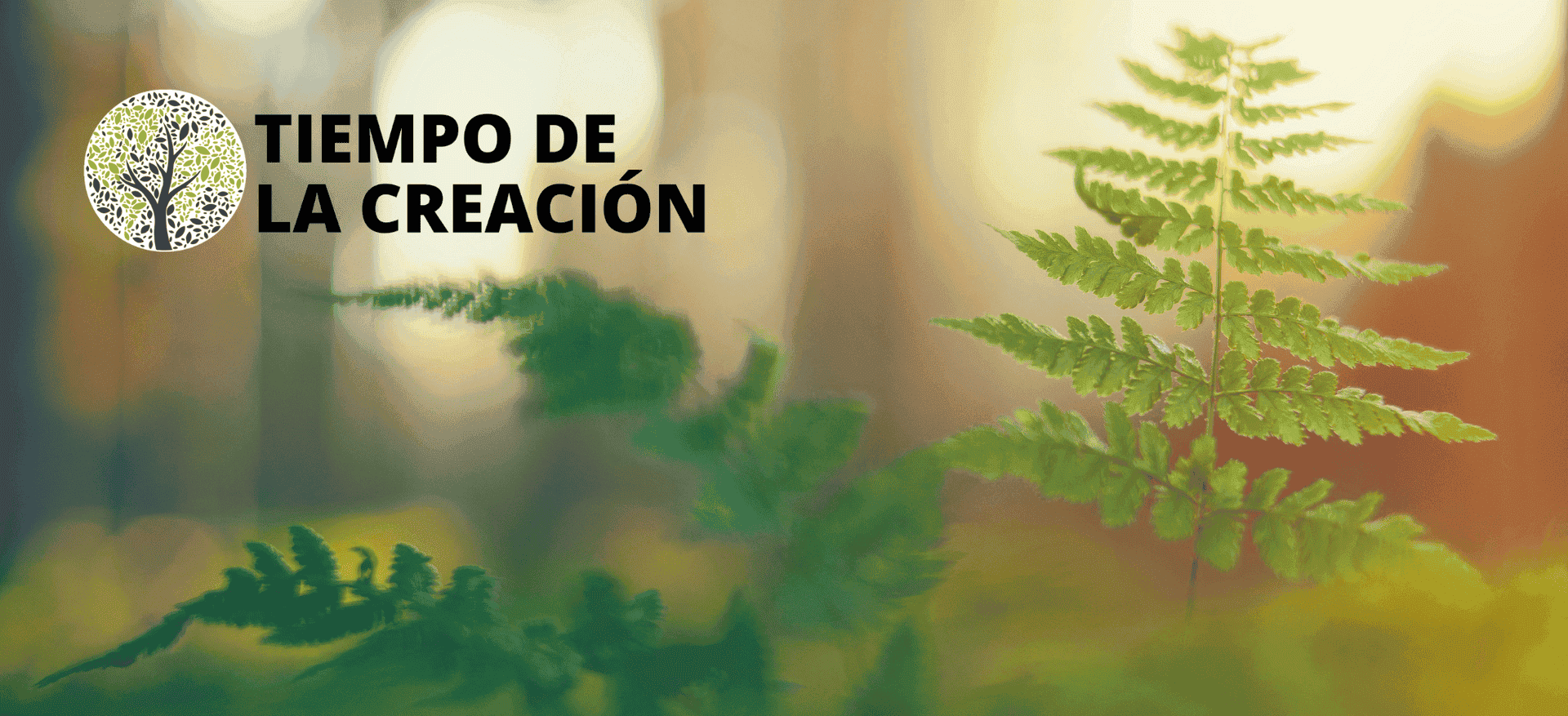 Pregària pel Temps de la Creació