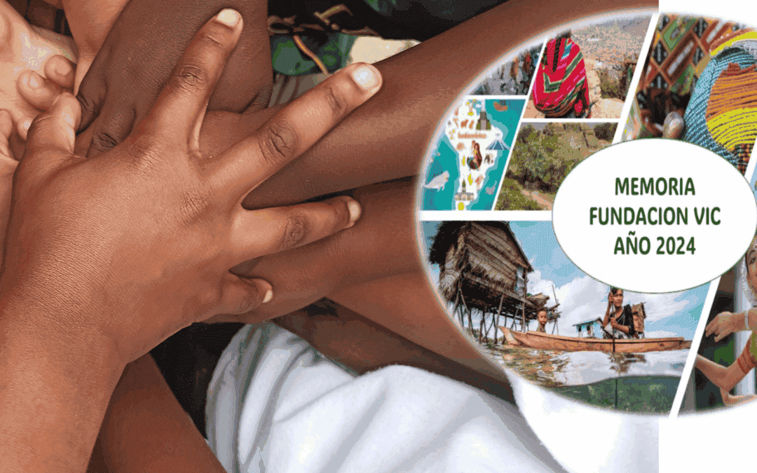 La Fondation Vic publie son rapport annuel 2024
