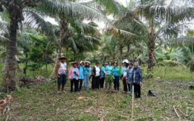 El Laicado Vedruna de Pigcawayan planta semillas de esperanza para las generaciones futuras