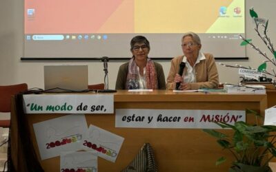 Asamblea Provincial de Europa: Un modo concreto de ser, estar y hacer en misión