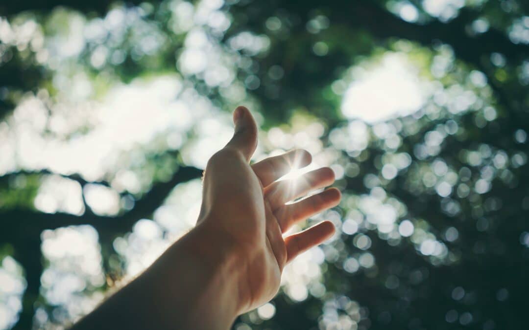 Les droits de l&rsquo;homme en action : les initiatives de Vedruna transforment les réalités