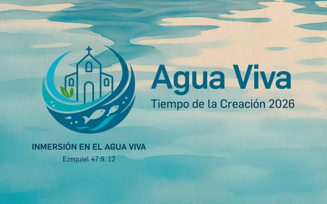 Ens preparem pel Temps de la Creació amb una nova celebració litúrgica